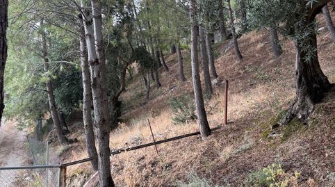 Foto 2 de Finca rústica en venda a Alcantarilla - La Glorieta, Jaén Capital
