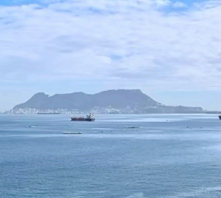 Vista exterior de Finca rústica en venta en Algeciras