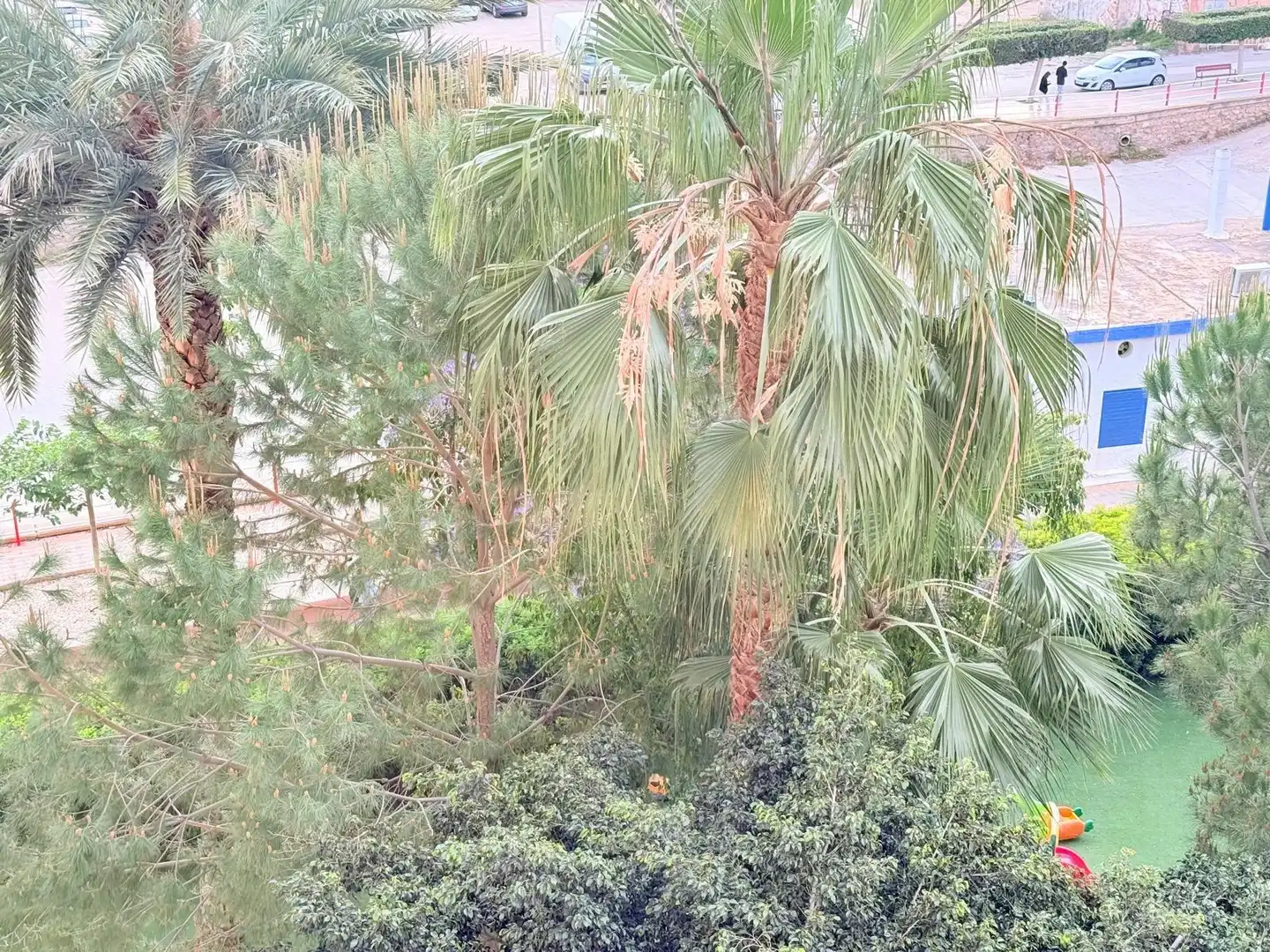 Jardí de Pis en venda en Águilas amb Terrassa, Moblat i Balcó