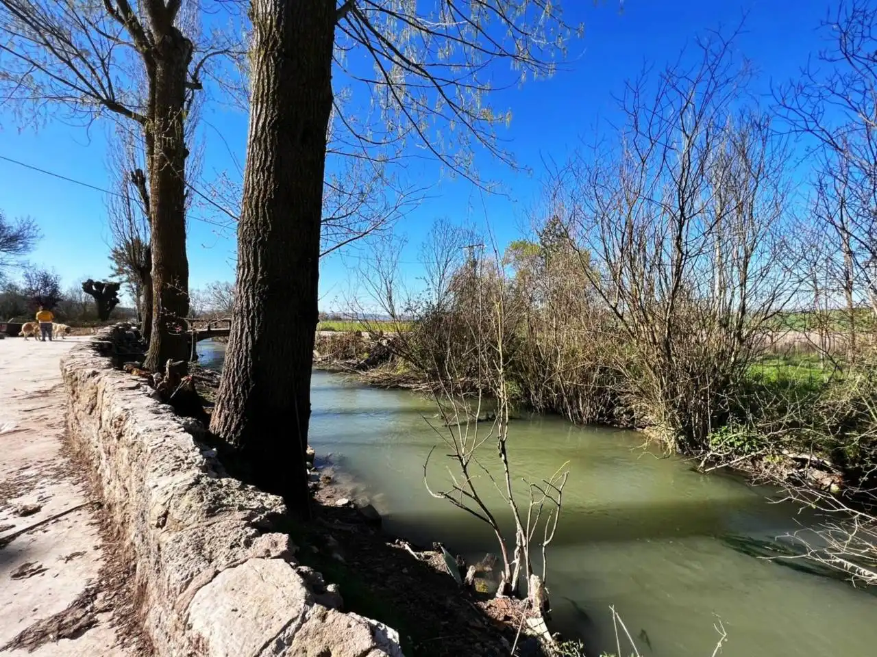 Vista exterior de Casa o chalet en venta en Frandovínez
