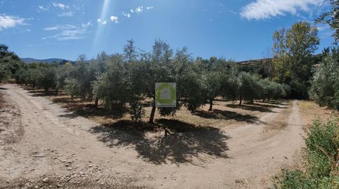 DílarTerreno, immagine 4