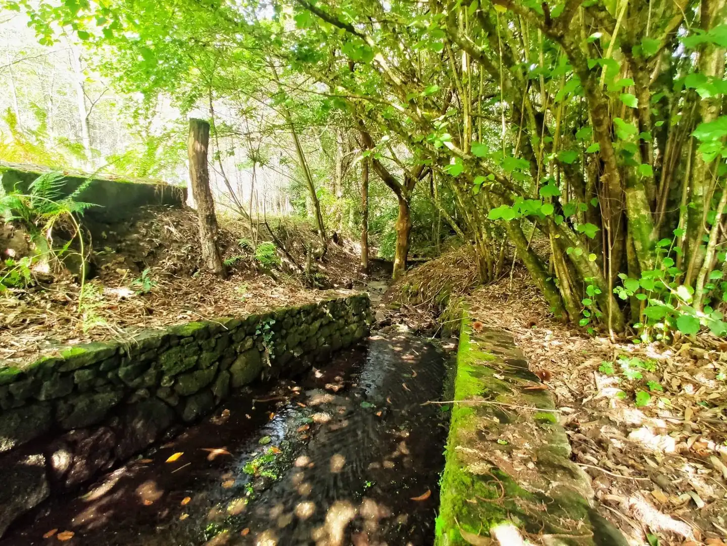 Rural land for sale in Parroquias Rurales, imagen 2