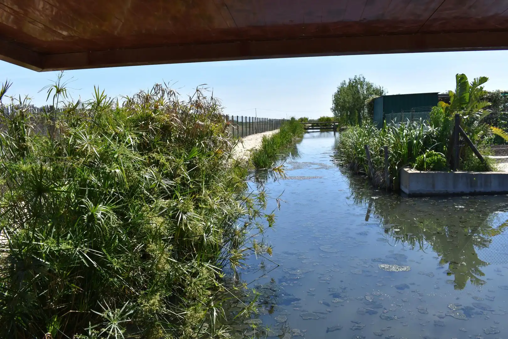 Finca rústica en venda a Eucaliptus - Poble Nou del Delta