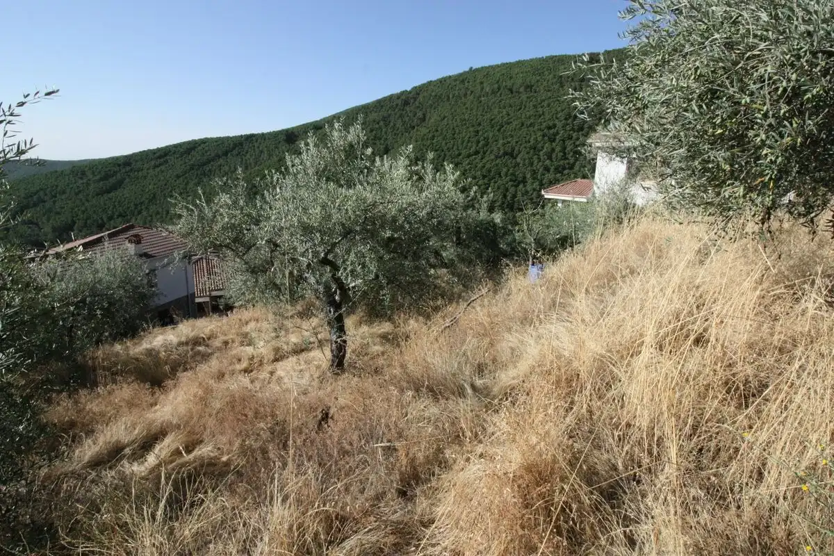 Terreni e lotti in vendita a Guisando, imagen 6