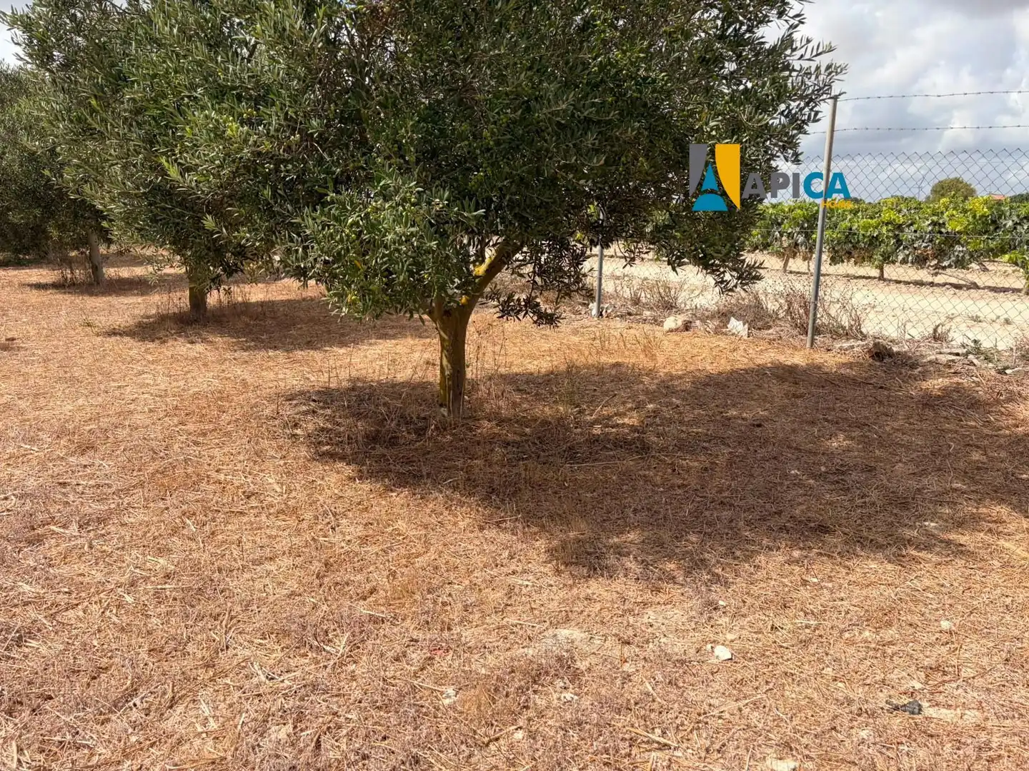 Rural land for sale in Los Franceses – La Vega, imagen 9