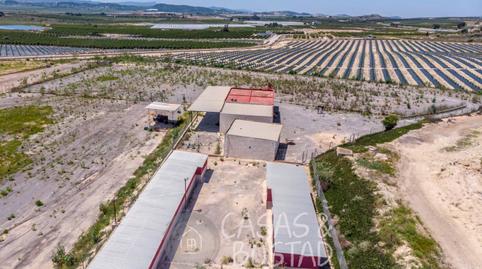 Foto 4 de Finca rústica en venda a Los Montesinos, Alicante