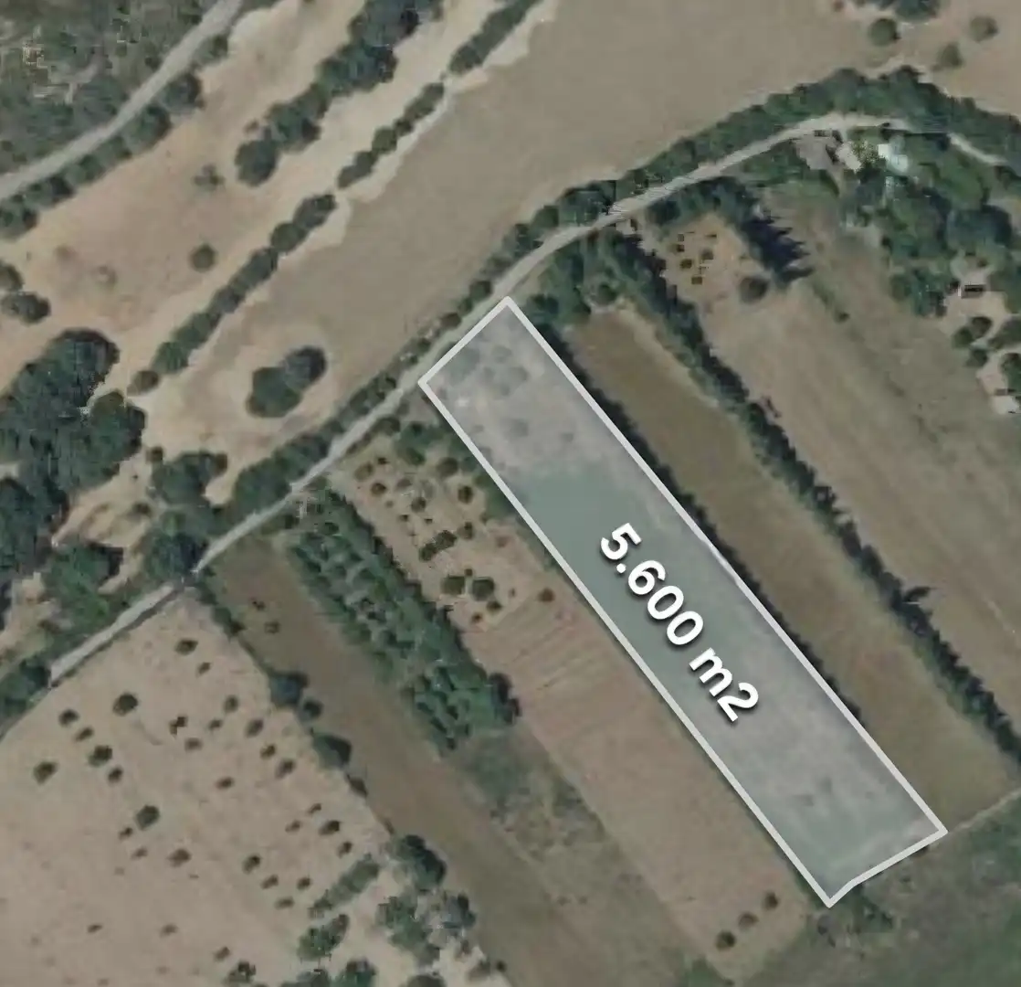 Land for sale in Manacor