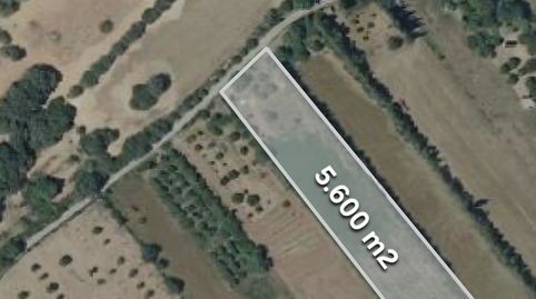 Photo 2 of Land for sale in Camí de Bendrís, 8, Manacor Centre, Manacor