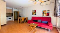 Sala d'estar de Apartament en venda en Alcanar amb Terrassa, Traster i Balcó