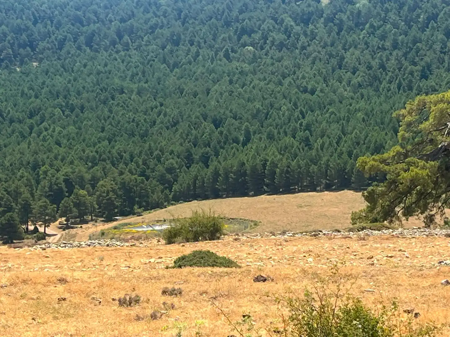Terreno en venta en Peñarroya de Tastavins