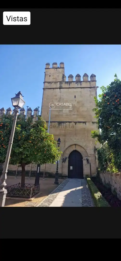Vista exterior de Casa o chalet de alquiler en Córdoba con Terraza