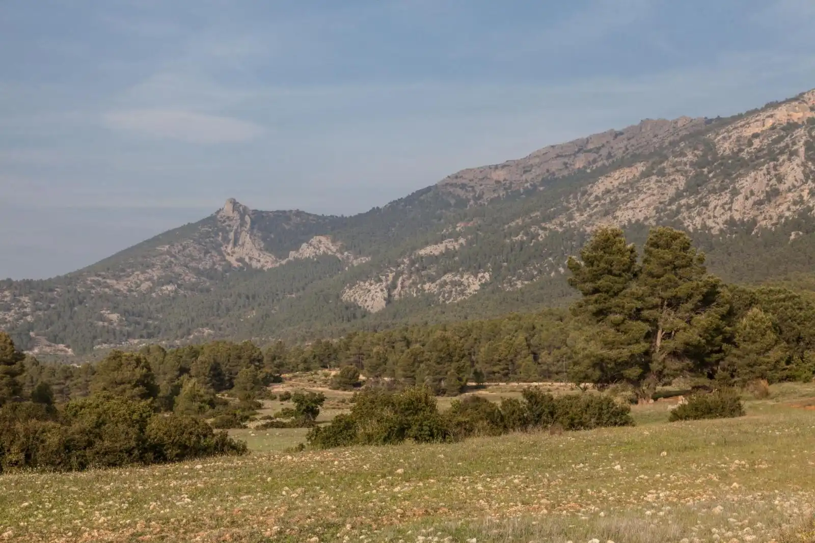 Lands and plots for sale in Mula, imagen 13