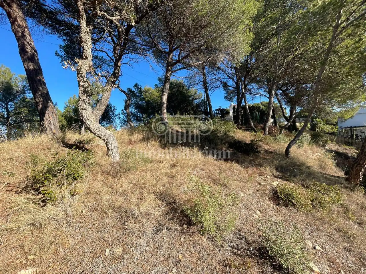 Terreno rustico in vendita a Santa Cristina, imagen 10
