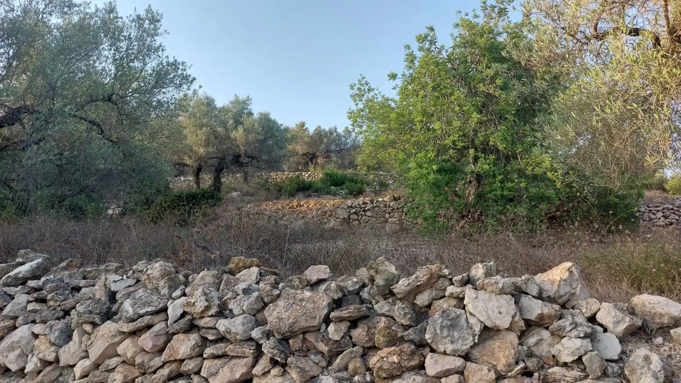 Terreno rustico in vendita a El Perelló, imagen 5