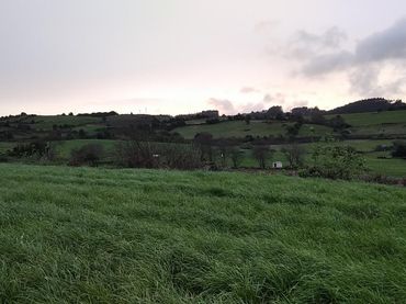 Terreno rustico in vendita a Carreño