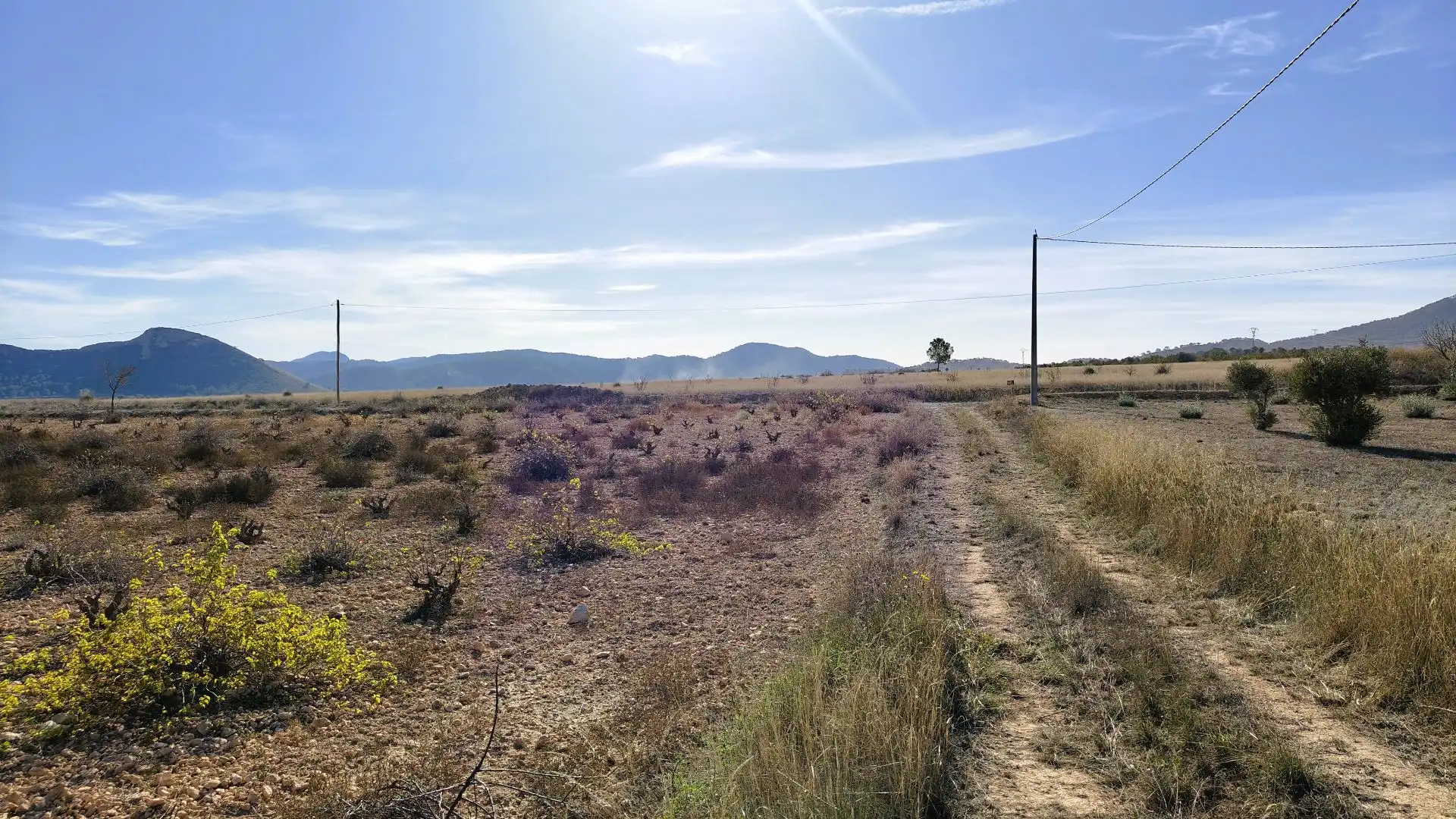 Lands and plots for sale in Abanilla, imagen 15
