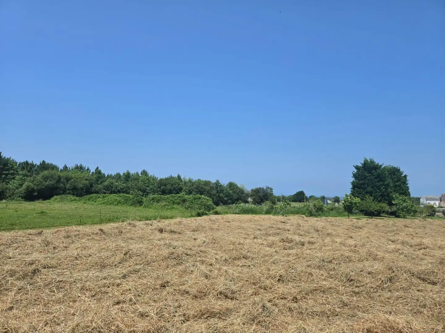 Residential land for sale in Carretera GENERAL SAN PEDRO 148, imagen 20