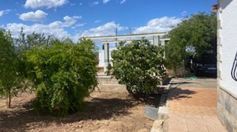 Foto 3 de Finca rústica en venta en Centro, Fuente Álamo de Murcia