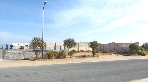 Foto 4 de Terreno industrial en venta en Calle Los Jardales, 21, Lepe, Huelva