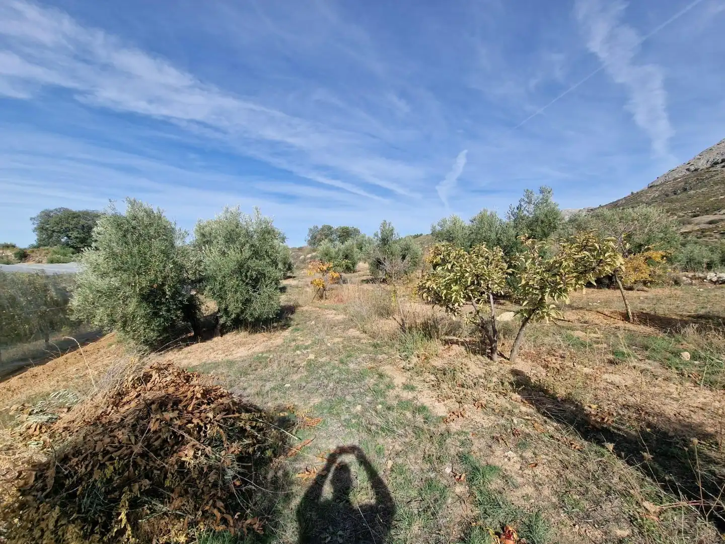Maison rustique avec jardin à vendre à Cogollos de la Vega, imagen 48