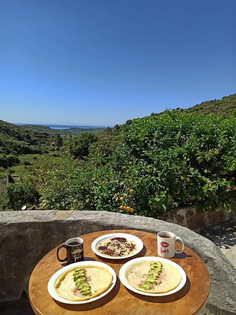 Finca rústica en venta en Altos de Estepona