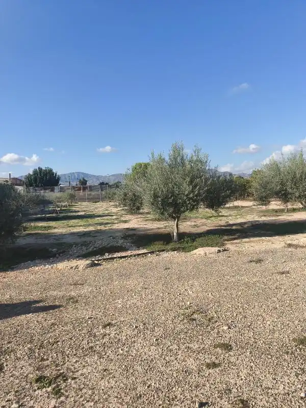 Terreny industrial en venda a Partida Atalayas Gp. 18, Albatera