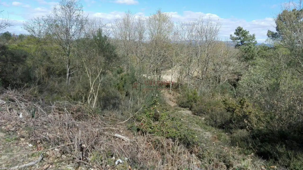 Terrenos y solares en venta en O Pereiro de Aguiar, imagen 2