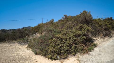 Photo 2 of Land for sale in Perín, Murcia