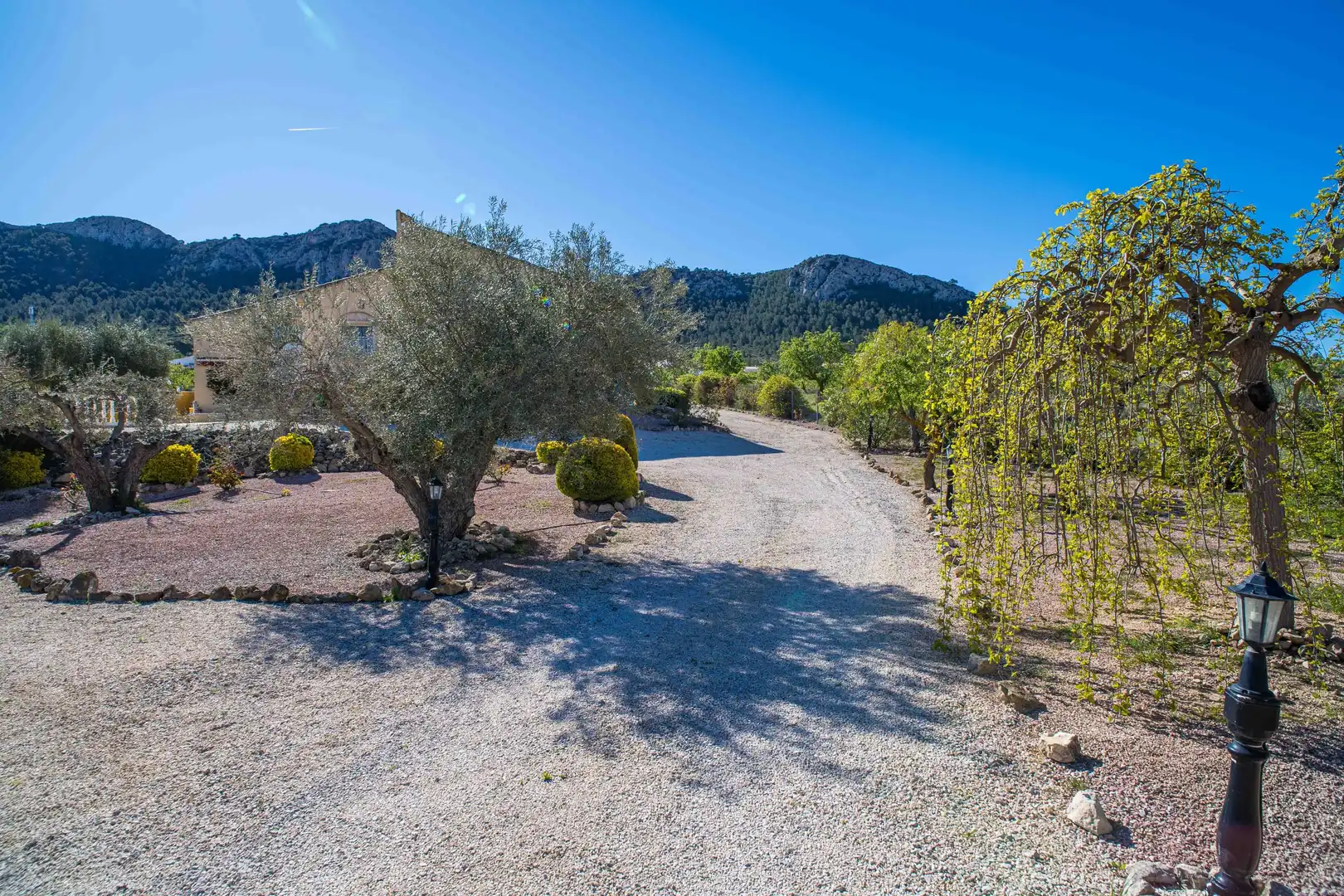 Casa en venta en Abanilla, imagen 7