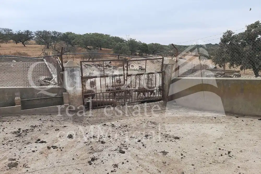 Finca rústica en venda en Herrera de Alcántara