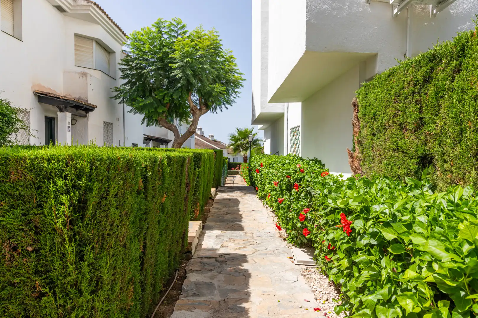 Exterior view of Detached homes for rent in Estepona  with Air Conditioner, Private garden and Terrace