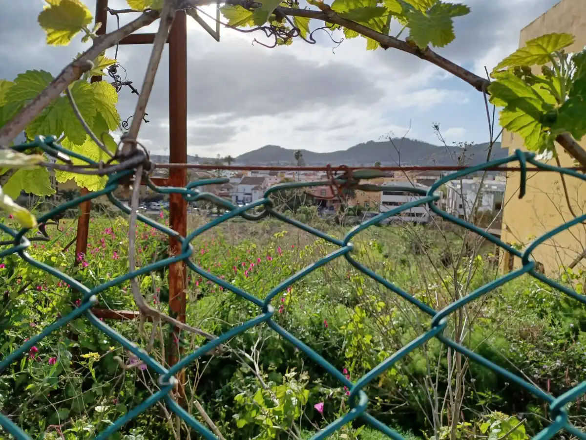 Terrenys i solars en venda a La Laguna