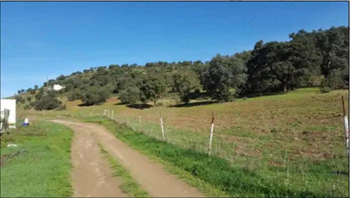 Terreno en venta en San Nicolás del Puerto