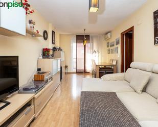 Sala d'estar de Pis en venda en  Granada Capital amb Aire condicionat, Calefacció i Jardí privat
