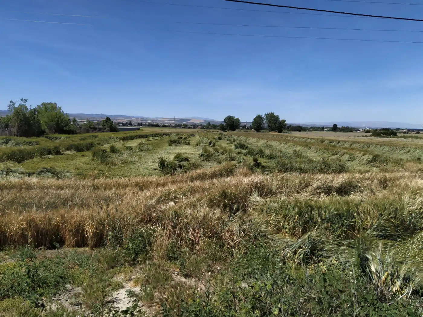 Residencial en venta en Granada