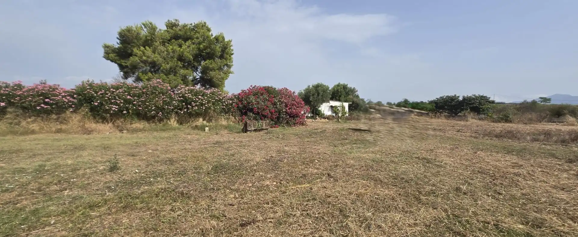 Finca rústica en venda en Vinaròs