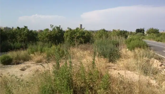 Rustikales Grundstück zum Verkauf in Polígono 4, imagen 6