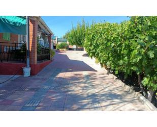 Vista exterior de Casa o xalet en venda en Borox amb Jardí privat, Terrassa i Piscina