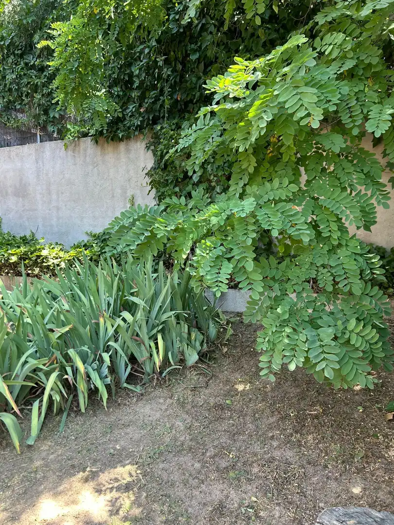 Casa con giardino in vendita a Colmenarejo, imagen 37