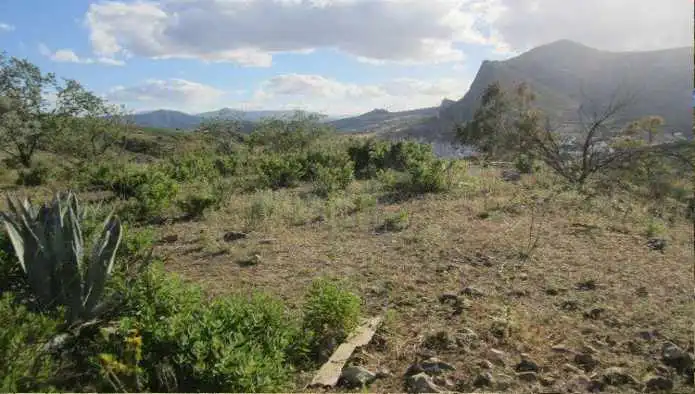 Terreny rústic en venda a Paraje Saladillo, Plg 5, Parc. 51, imagen 6