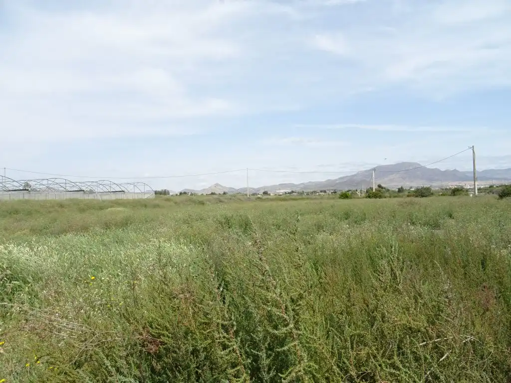Country homes for sale in Aspe