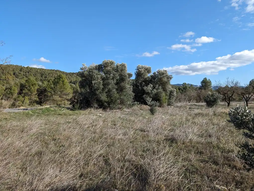 Terreni e lotti in vendita a Arens de Lledó, imagen 8