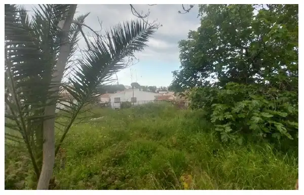 Terreny residencial en venda a Pinemar, imagen 10