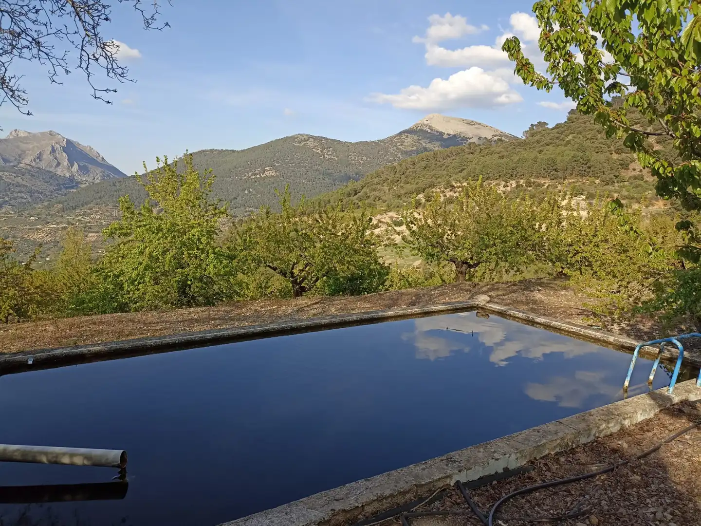 Swimming pool of Land for sale in Torres