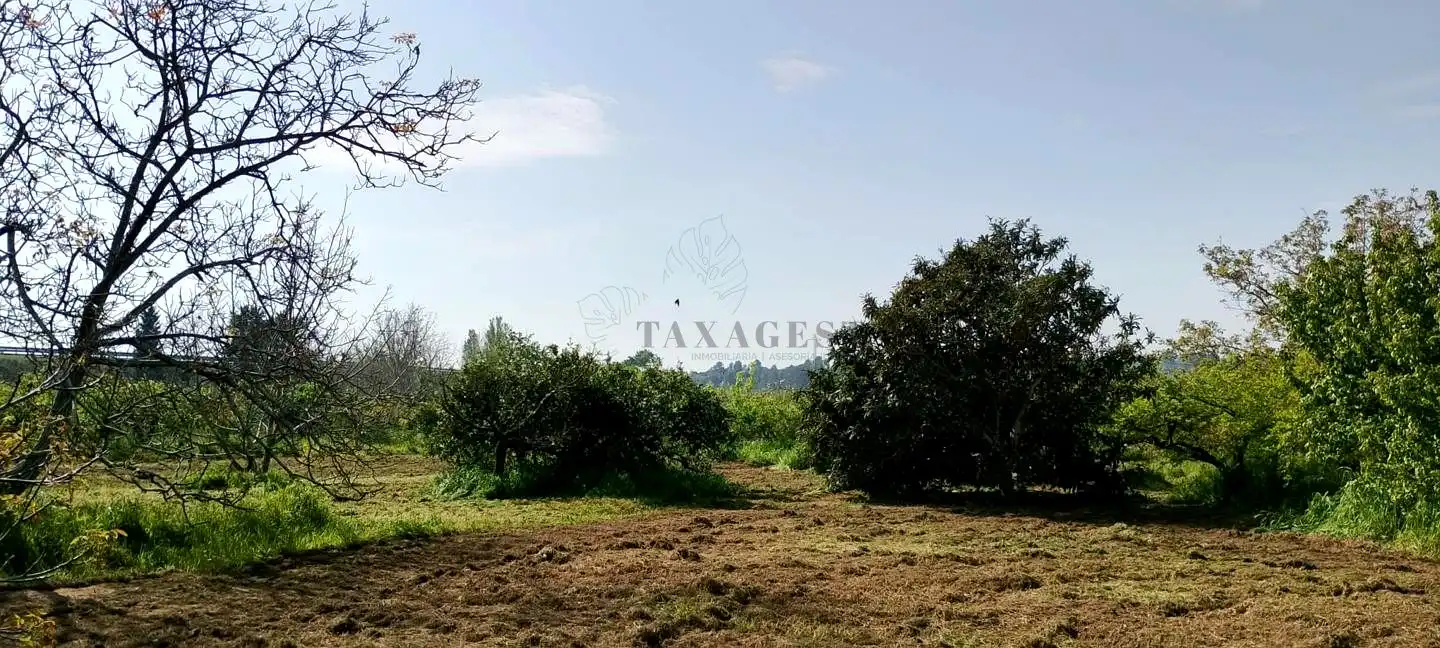Lands and plots for sale in Roquetes, imagen 15
