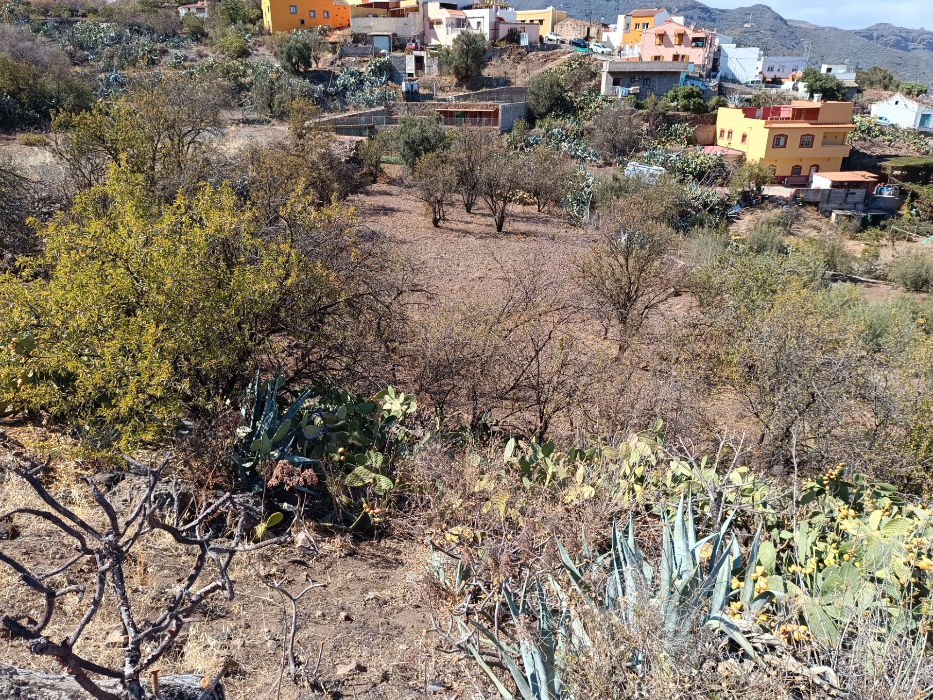 Finca rústica en venda en Valsequillo de Gran Canaria