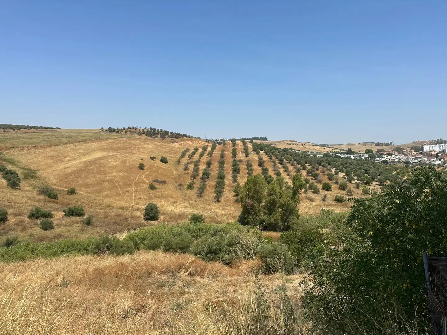 Terreny rústic en venda a Balcón de Sevilla - Atalaya - La Uva - La Extremeña, imagen 4