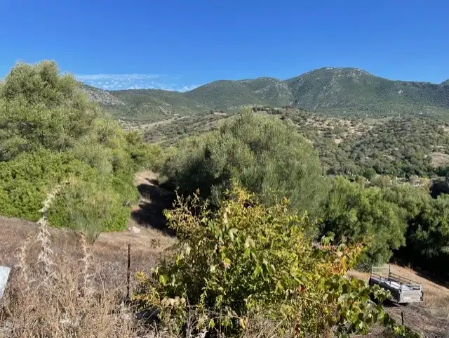 Terrain rustique à vendre à Lugar Tavizna, imagen 7