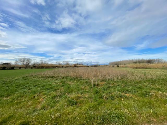 Terreno en Venta en N/A en Cabanes (Girona)