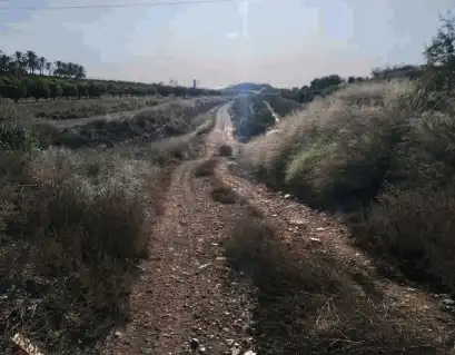Terreno rústico en venta en Partida La Torreta, imagen 8